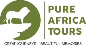 https://pureafricatours.com/wp-content/uploads/2022/01/Pure-Africa-Final-Logo-300x165.png