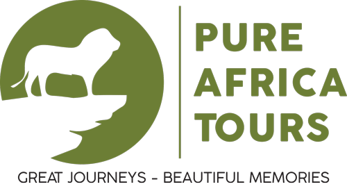 pure africa tours