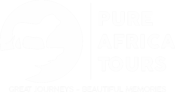 Pure Africa Logo