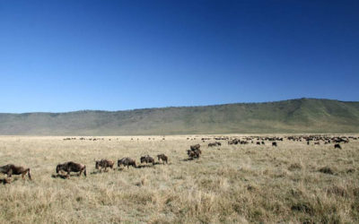 5-Day Tarangire, Ngorongoro, Serengeti – Mid-Range